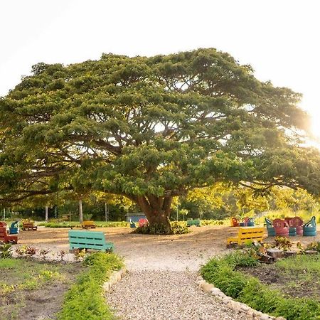 Hacienda La Huerta, Puerto Plata Villa Eksteriør bilde