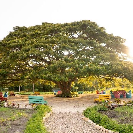 Hacienda La Huerta, Puerto Plata Villa Eksteriør bilde