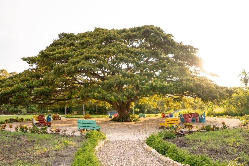 Hacienda La Huerta, Puerto Plata Villa Eksteriør bilde